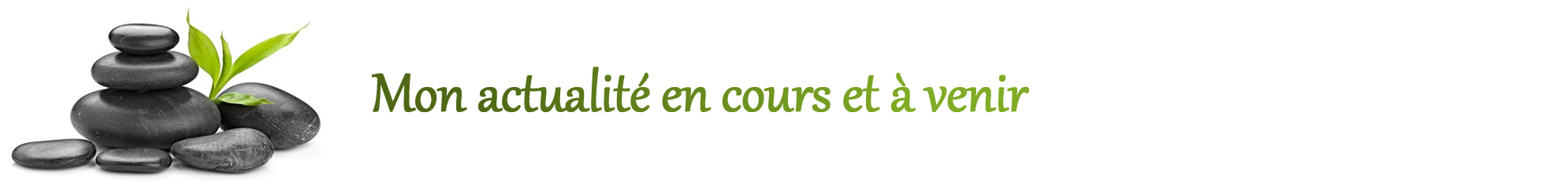les news du site